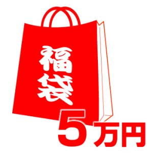 画像1: 【COACH】コーチの超お得レディース福袋〔5万円〕（送料無料）