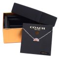 【COACH】コーチ メタル ビジュー 虹 レインボー モチーフ チャーム ペンダント ネックレス 専用BOX付 シルバーマルチ〔日本未発売〕