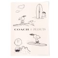 【COACH】コーチ スヌーピー ステッカー ピーナッツ コラボ チャーリーブラウン ロゴ シール マルチ（日本未発売）