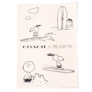 画像1: 【COACH】コーチ スヌーピー ステッカー ピーナッツ コラボ チャーリーブラウン ロゴ シール マルチ（日本未発売）