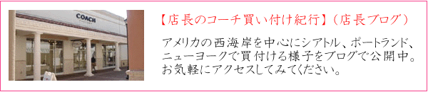 買い付けブログ