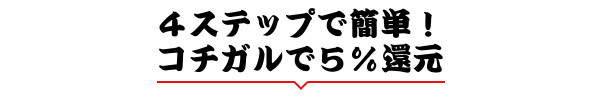 キャッシュレス還元