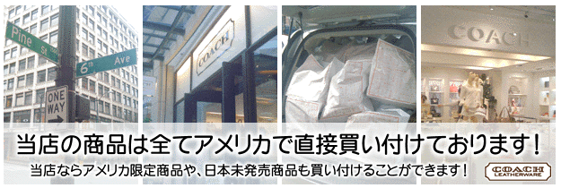 コチガルの買い付け
