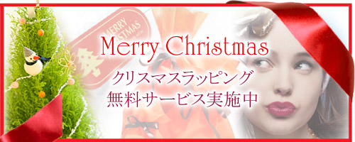 コーチのクリスマスセール