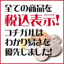 画像: コチガルはコーチ全品税込み価格で据え置き！