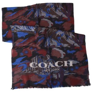 画像: 【COACH】コーチ メンズ ウール ランドスケープ プリント スカーフ ブルー （日本未発売）