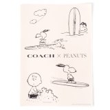 画像: 【COACH】コーチ スヌーピー ステッカー ピーナッツ コラボ チャーリーブラウン ロゴ シール マルチ（日本未発売）