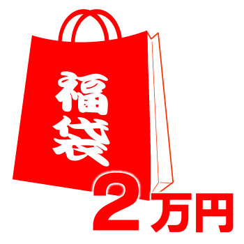 画像1: 【COACH】コーチの超お得レディース福袋〔2万円〕（送料無料） (1)